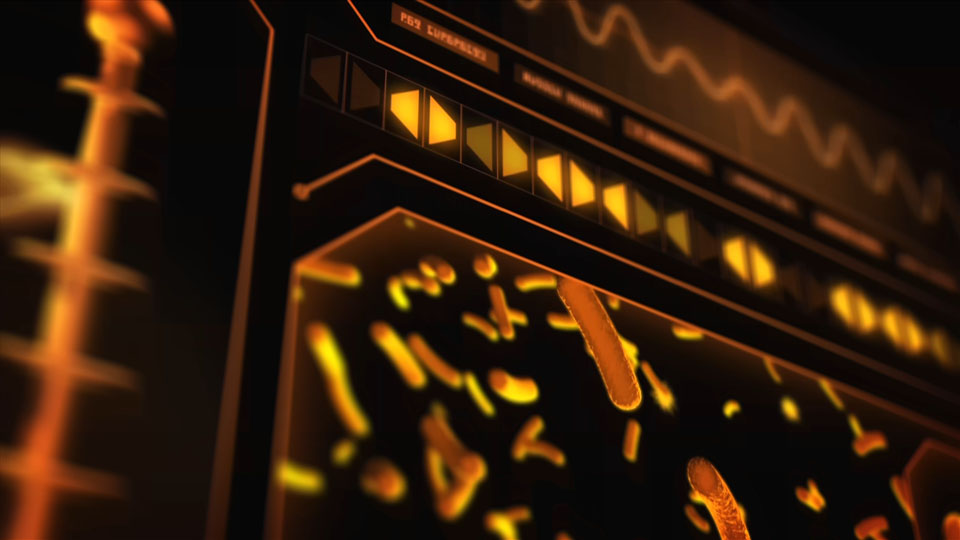 Pulse Reel 2026 - Pulse Design Lab